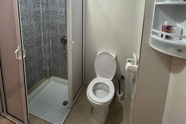 cosy appartment