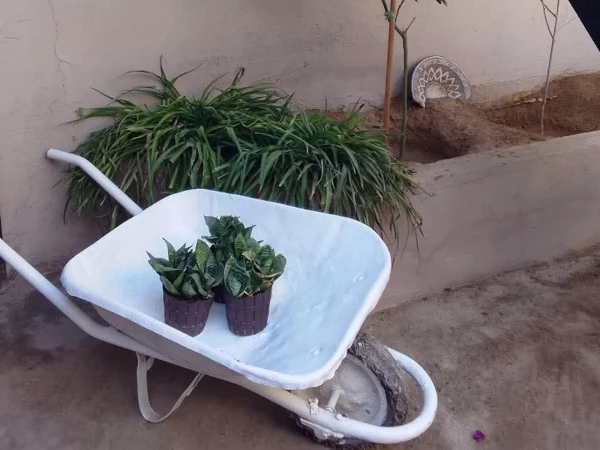 Mini Villa Aourir